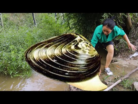 Giant Pearl King, the girl is taking out giant pearls from a strange clam shell