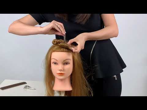 Деление головы на зоны