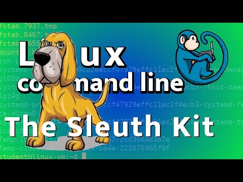 Basic intro to The Sleuth Kit command line tools