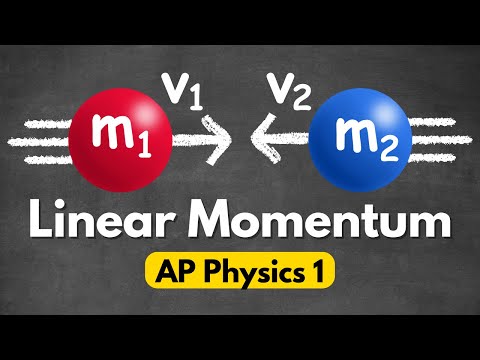 [NEW] AP Physics 1 Unit 4 Linear Momentum Review