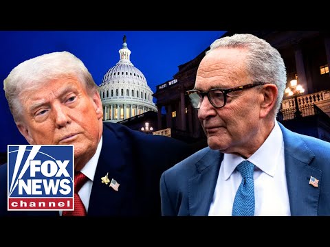 'STOP THE MADNESS': GOP lawmaker RAILS against Dems blocking shutdown deal