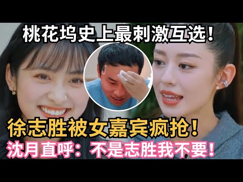 徐志胜被三位女嘉宾疯抢！沈月表示非徐志胜不可！桃花坞4首次会议太刺激了！#搞笑  #综艺 #真人秀 #五十公里桃花坞4 #综艺show