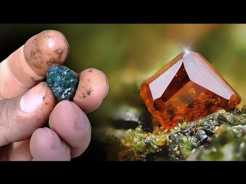 3 Signs That Your Yard Might Have Ultra Rare Precious Stones