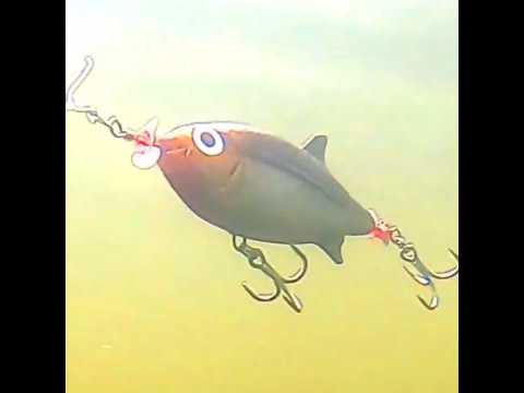 Making a Spybait bass lure for winter giants  #fishing #handmadelure #fishing