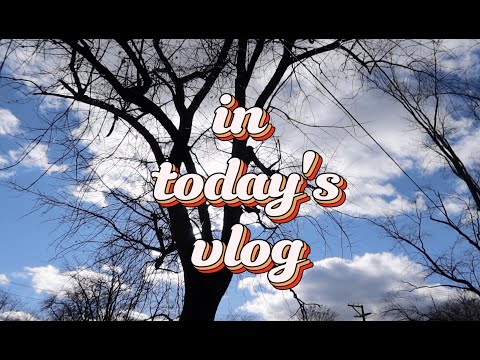 Fried Turkey for Thanksgiving ๐
๐ + Chapati!