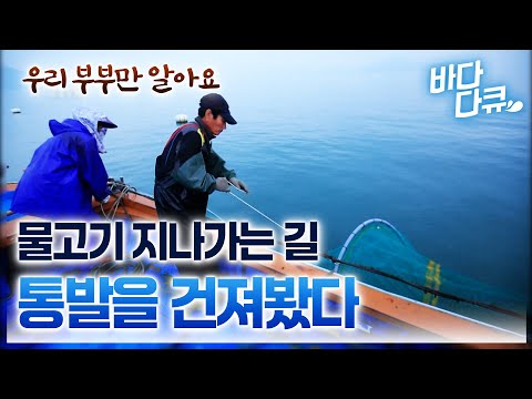 A secluded remote island. No one knows about the fishing trap spot. No one else knows. / An elder...