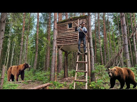 Bears Attack my TreeHouse - Survival 7 Days in the Wild Forest