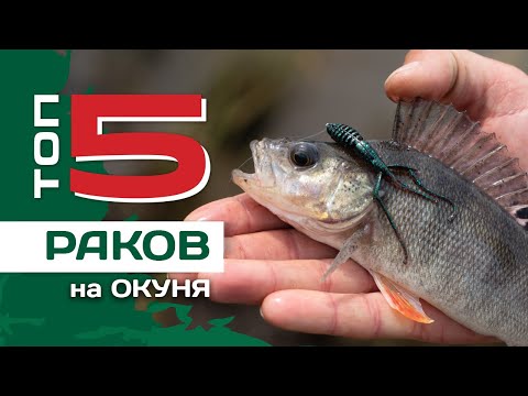 ТОП 5 раков на окуня от Павла Лясоцкого. Лучшие силиконовые приманки.