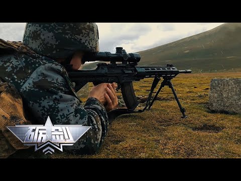 近距离感受国产新枪有多牛：191精准步枪高原开打 反坦克手遭遇克星！新式高精狙曝光无损供弹系统 实力展示一剑封喉！「砺剑」20230112 | 军迷天下