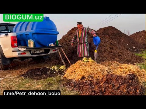 Барг, сомон ва гўнгдан зўр тупроқ тайёрлаш. Уй шароитида хазондан Компост тайёрлаш.