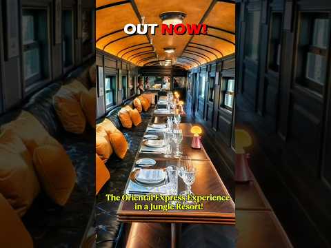 The Oriental Express Experience...but in the Jungle!