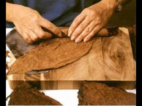 Домашние сигары (homemade cigars). Делаю своими руками.