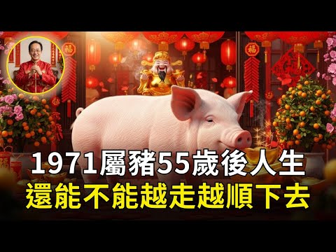 生肖豬：1971年屬豬人的命運！55歲後會越來越順嗎？