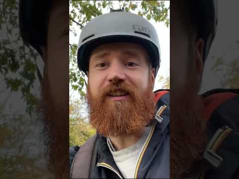 This Was So Much Fun. Then It Died.