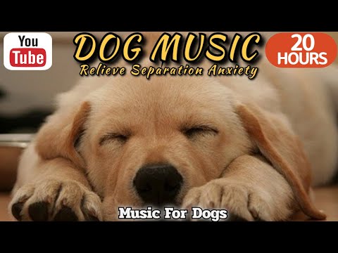 20 HOURS of Calming Music For Dogs🐶💖Dog Chill Out Music🎵Separation Anxiety Relief⭐Healingmate