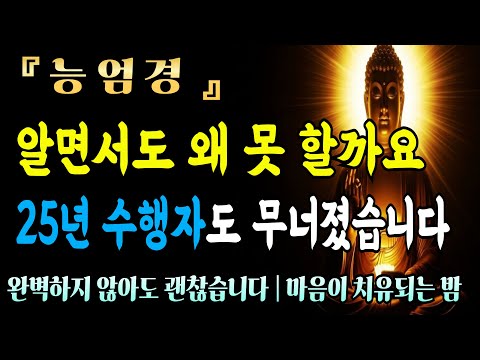 [자면서듣는불경] 능엄경,25년을 모신 제자가 한순간에 무너진 까닭 | 불완전함을 받아들이면 모든 게 바뀝니다ㅣ불교 명상 구절ㅣ 불교 명상 | 마음공부 | 석가모니 말씀