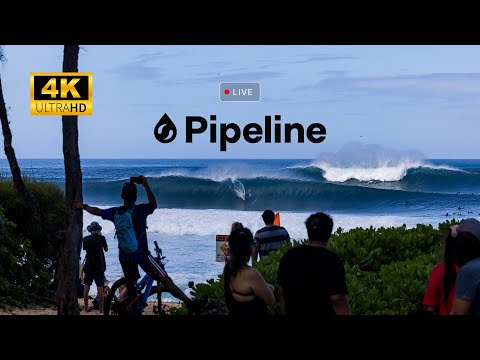 Watch Raw Pipeline (Dec 26th) 4K UltraHD