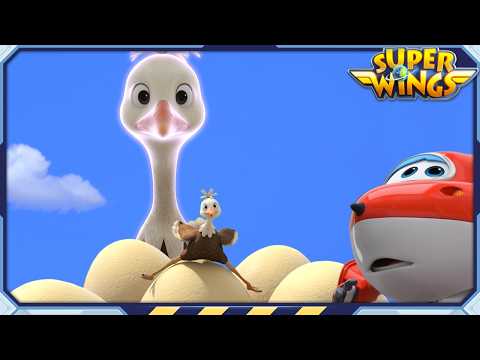 Superwings | Best | All the Cute Animals | Best Episode Collection