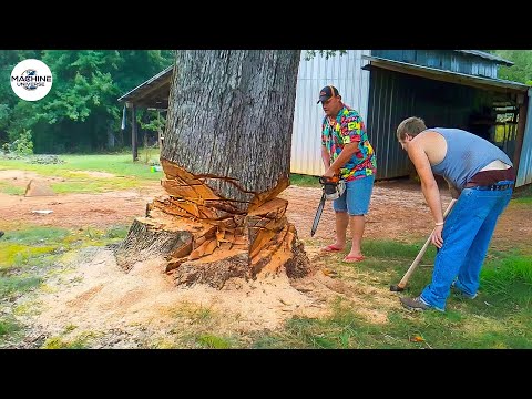 Idiots With Chainsaws: Tree Cutting Fails | Extreme Dangerous Logging Truck Fails #26