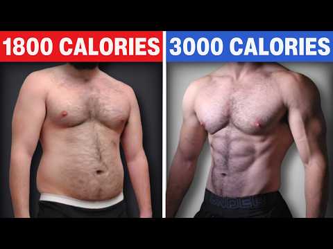 5 Things I Wish I Knew Before I Quit Calorie Deficits