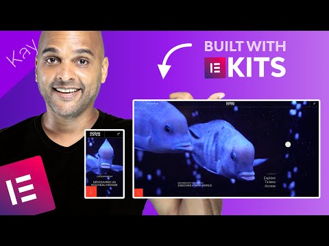 Using Elementor Kits Library (Pro) For A Redesign