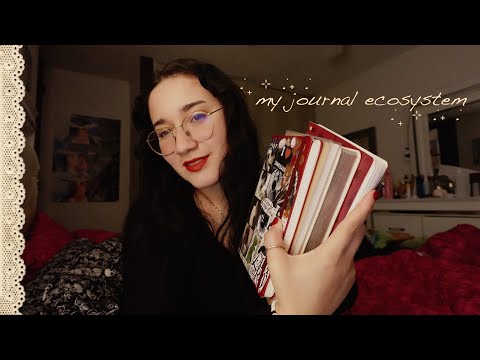 My journals and what I use them for 🕯️📜⋆˙⟡🤎
