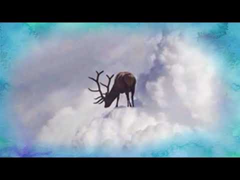 Attention.......Rupert Spira