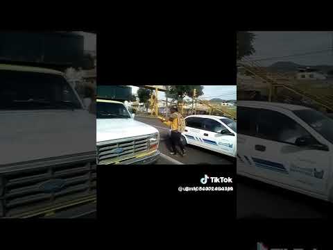 TRABAJANDO EN MICHOACÁN MORELIA MÉXICO 🇲🇽 NACIONAL