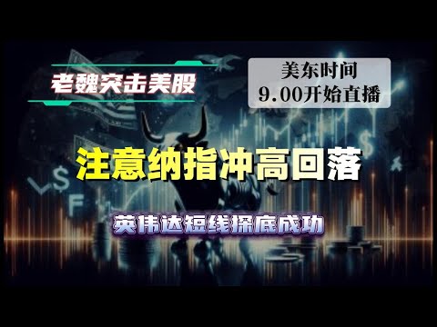 英伟达低开＝机会？英伟达、AMD低开能否再拉升？#美股 #英伟达 #英特尔 #特斯拉 #soun #苹果 #投資   #美国超微公司 #crcl #amd