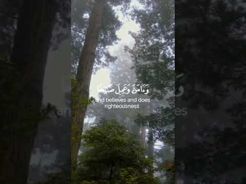 سبحان الله و بحمده سبحان الله العظيم اللهم صل وسلم على نبينا محمد #قران_كريم