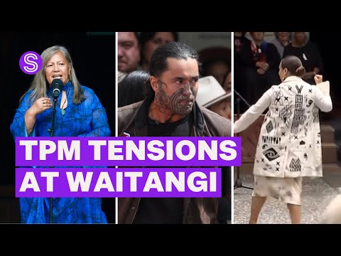 Te Pāti Māori tensions take centre stage at Waitangi | Stuff.co.nz