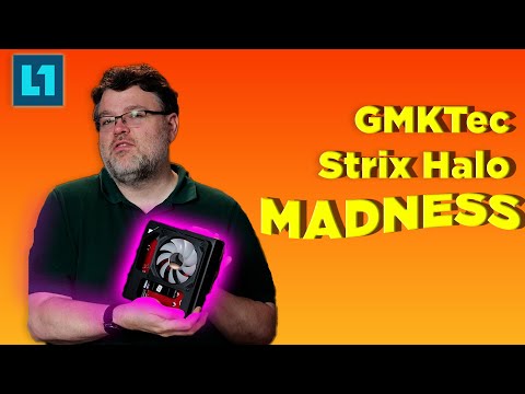 GMKtec EVO-X2 Mini PC - The 128gb APU that Games!