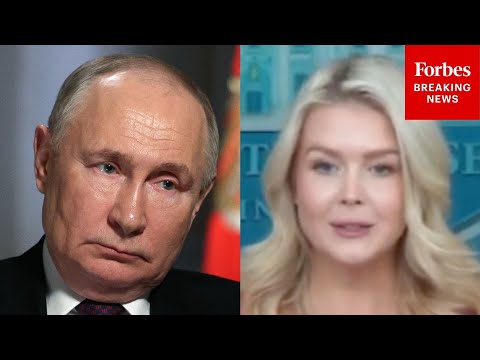 Leavitt Asked: Is There A Temporary Treaty With Russia While Nuclear Arms Pact Negotiations Happen?