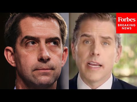 Viral Moment: Tom Cotton Asks ATF Nominee If He Will Look Into Potential Hunter Biden Violation