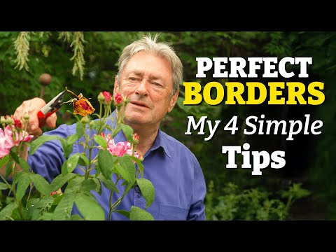 My 4 Steps to Better Flower Borders: Deadheading, Weeding & Plant Support Tips