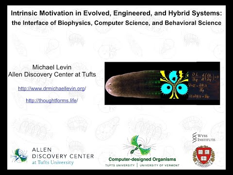 "Intrinsic motivation in evolved, engineered, and hybrid systems" by Michael Levin