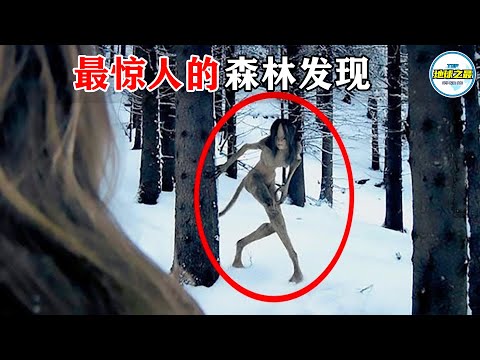豹尾人身？相机意外拍下探险家遭遇的可怕生物！15个最惊人的森林发现！丨地球之最#冷知识 #排名 #世界之最#世界之最top#地球之最#top10#top5#top15#惊人发现#户外探险