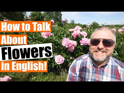 How to Talk About FLOWERS in English!