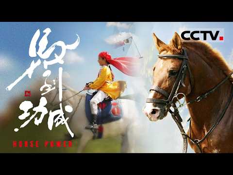 《马到功成》来自全球六个国家八匹骏马的故事 一场关于勇气与信任的生命礼赞 带你走近马的灵性世界【CCTV纪录】