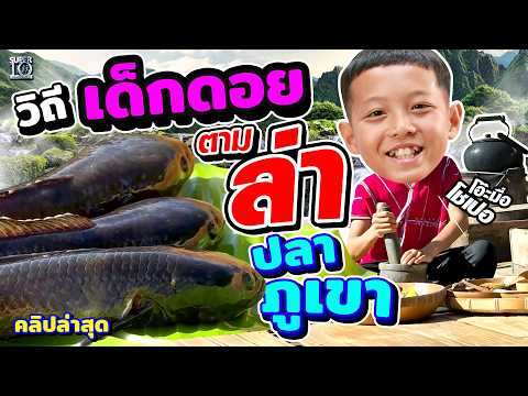 เปิดวิถีลูกกะเหรี่ยง #น้องฟีฟ่า ตามหาวัตถุดิบลับจากยอดดอย! | SUPER10