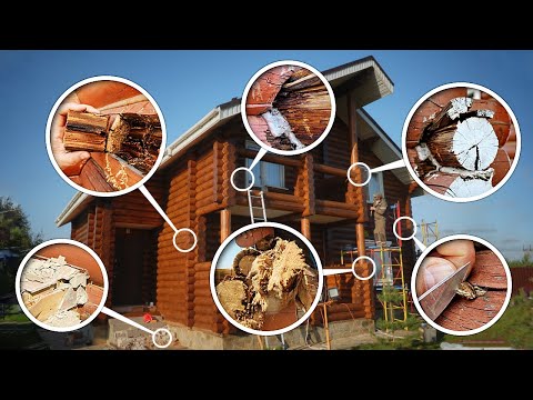 The story of how a house rotted due to one mistake by the owner