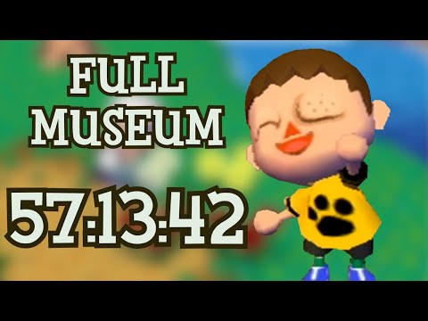 I Completed the Museum as Fast as Possible in Animal Crossing City Folk!