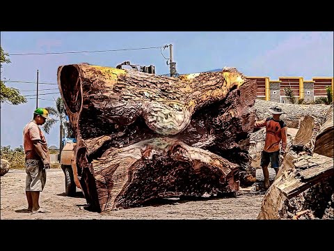 Trembesi wood devil's lips cobra snake nest !! sawn solid board material I sawmill