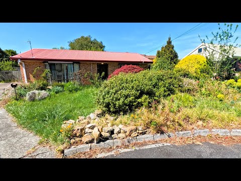 Her Brother PASSED AWAY and left her this Crazy OVERGROWN YARD!