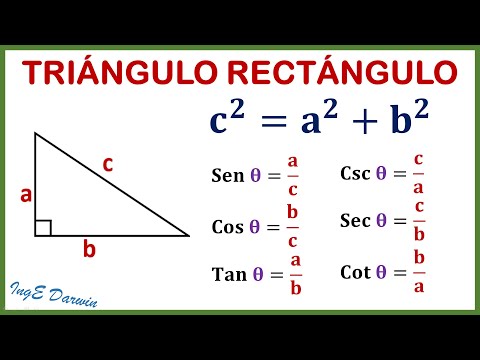 Teorema de Pitágoras y Razones trigonométricas, guía definitiva | Clase 1