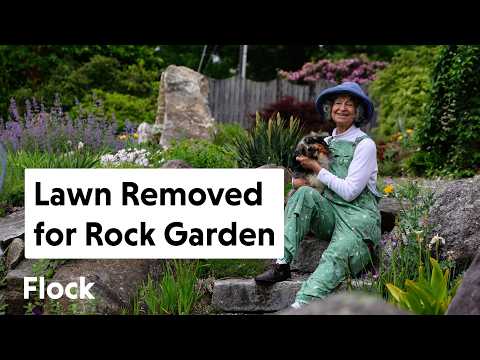 SUBURBAN LAWN Converted to Unbelievable ROCK GARDEN — Ep. 337