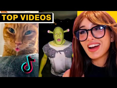 Best TikToks I Watch Instead Of Sleeping | SSSniperWolf