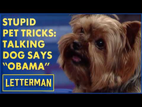 Stupid Pet Tricks: Talking Dog Says "Obama" | David Letterman