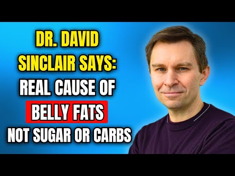 Dr. David Sinclair Exposes The Real Cause of Belly Fat (Not Sugar or Carbs)