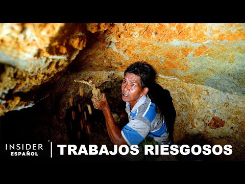 Por qué la Mina de Madera Petrificada en Indonesia es tan Peligrosa | Trabajos Riesgosos